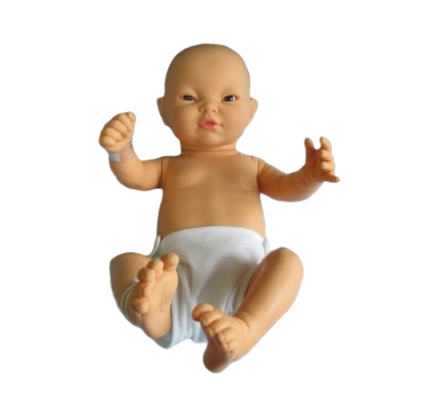 신생아모형
