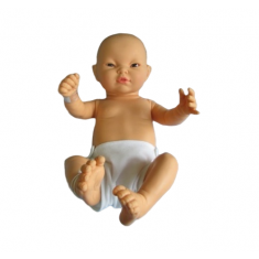 신생아모형