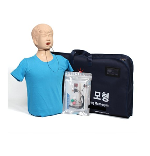 기도 폐쇄 모형(청소년용)