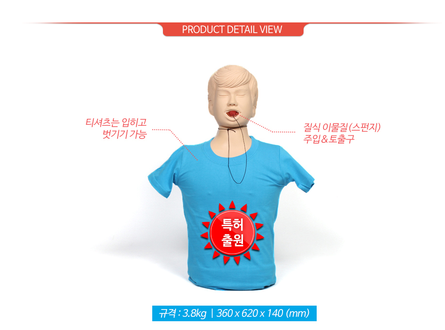 기도 폐쇄 모형(청소년용)