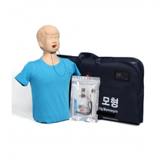 기도 폐쇄 모형(청소년용)