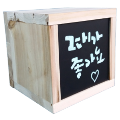 삼나무 그린라이트