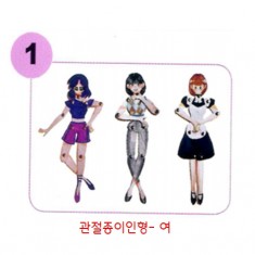 디자인스쿨- 관절종이인형